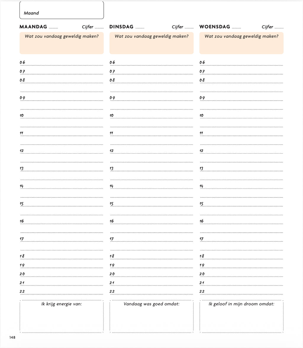 The Sanny Side Up planner 4.0