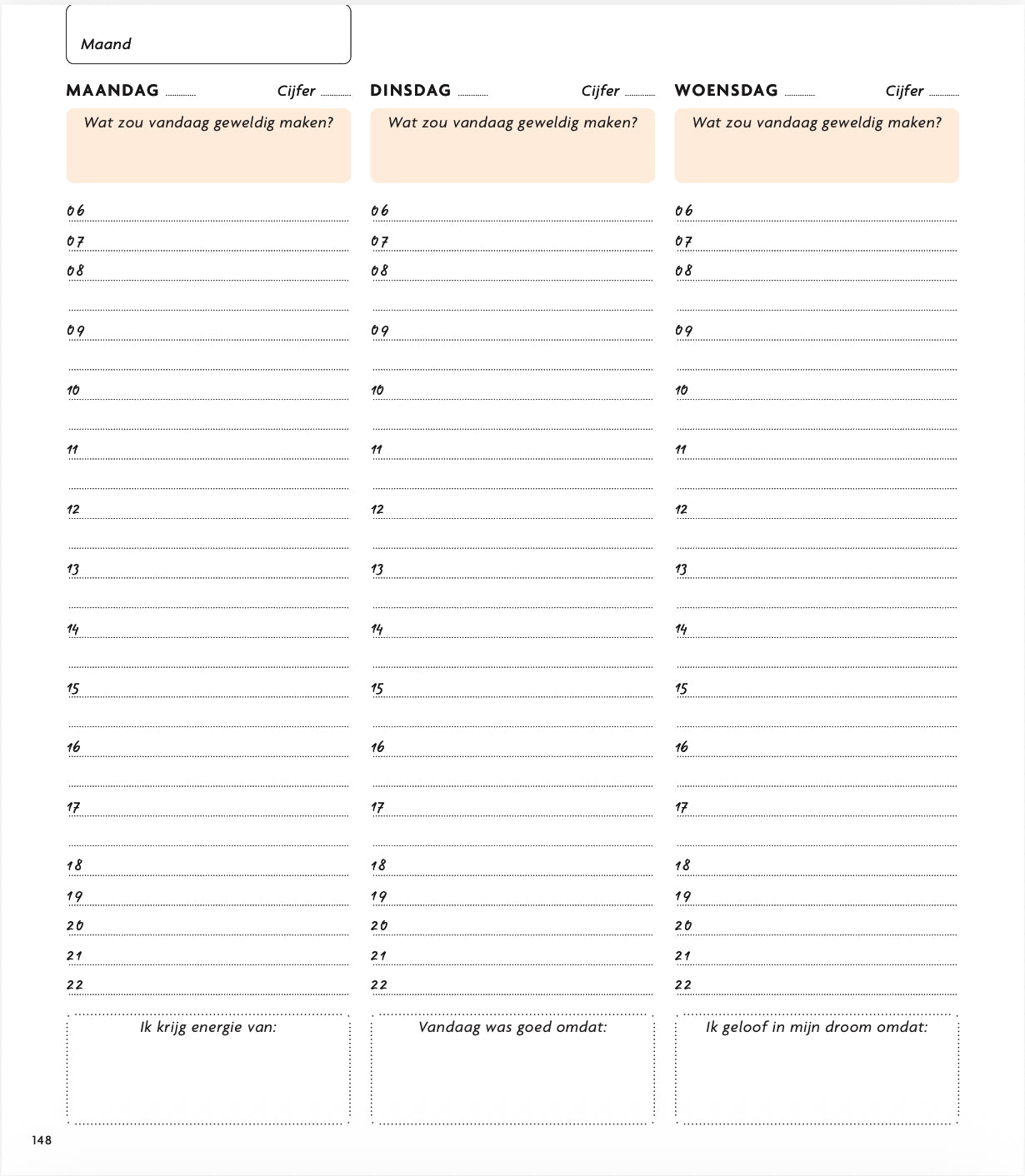 The Sanny Side Up planner 4.0